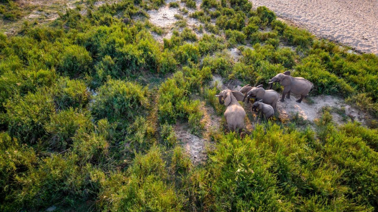 Buckler'S Africa Lodge Kruger Park Komatipoort Bagian luar foto