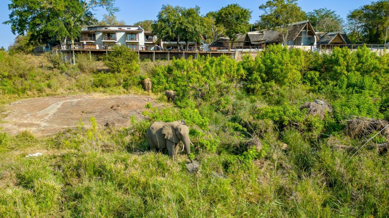 Buckler'S Africa Lodge Kruger Park Komatipoort Bagian luar foto