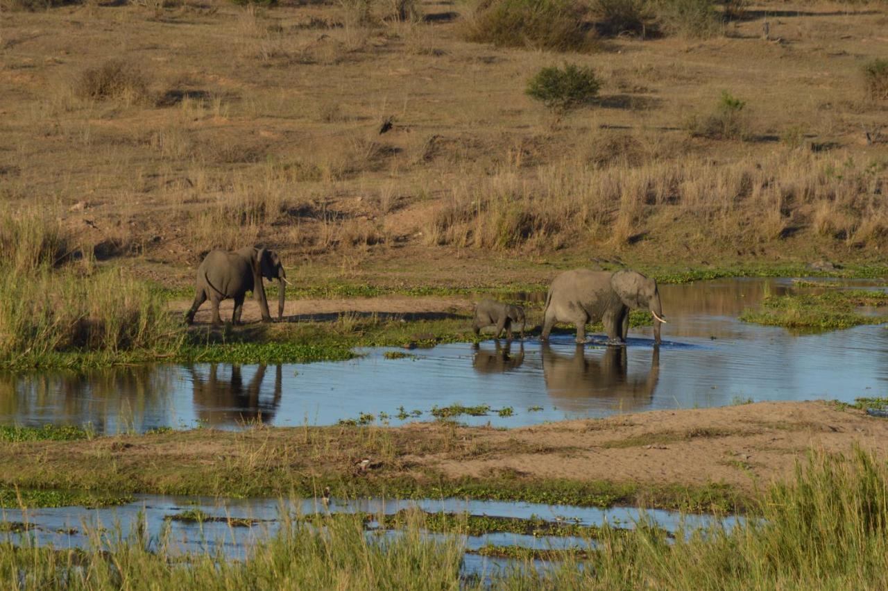 Buckler'S Africa Lodge Kruger Park Komatipoort Bagian luar foto